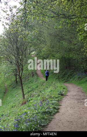 Rückansicht eines einzelnen weiblichen Walker nach unten wandern eine Spur von Gras und Bäumen umgeben Stockfoto