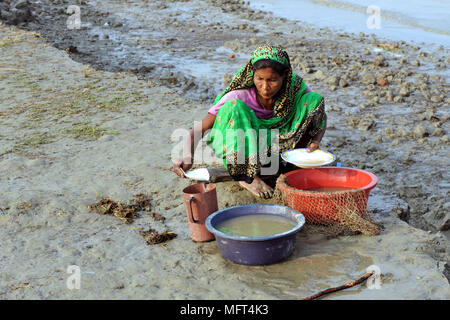 Vhola, Bangladesch - 20. Mai 2012: Eine Frau aus Bangladesch sammelt baby Garnelen in Shrimp Farm an der Küste Vhola, Bangladesch zu verkaufen. Stockfoto