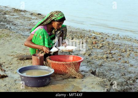 Vhola, Bangladesch - 20. Mai 2012: Eine Frau aus Bangladesch sammelt baby Garnelen in Shrimp Farm an der Küste Vhola, Bangladesch zu verkaufen. Stockfoto