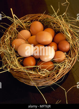 Weidenkorb gefüllt mit frischen Eiern und Stroh. Stockfoto