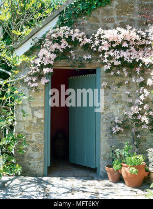 Außenansicht eines Landhaus aus Stein mit einem geöffneten blauen Holz Tür durch blühende Clematis Blumen eingerahmt. Stockfoto