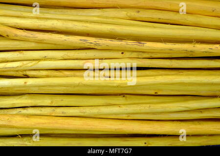 Close up Haufen Gelb Holz Sticks. Stockfoto