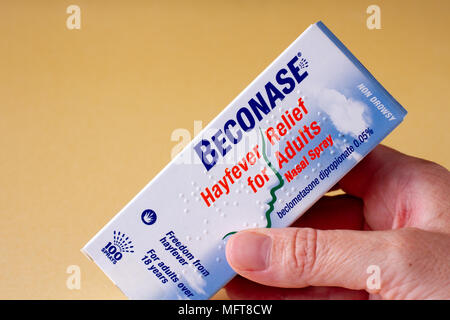 Weibliche Hand, die eine Box mit einem beconase Nasenspray, Heuschnupfen Allergien, Vereinigtes Königreich Stockfoto