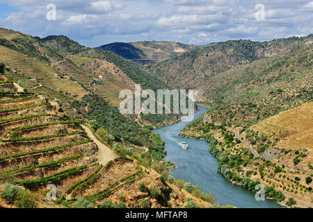 Den Fluss Douro und ein Hotel - Schiff in der Valeira Dam. São João da Pesqueira, Portugal Stockfoto