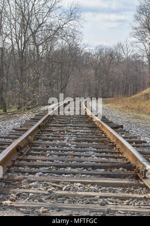 Eisenbahnschienen. Sie führt in die Ferne Stockfoto