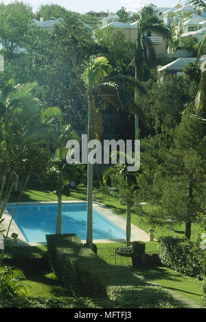Swimming Pool in einem tropischen Garten mit Palmen und Hecken. Stockfoto