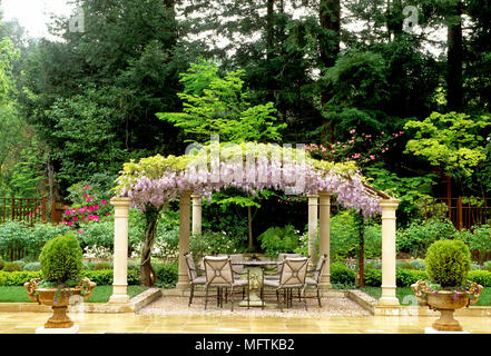 Coglizer Garten mit Tisch und Stühlen auf der Terrasse mit Wisteria sinensis Stockfoto