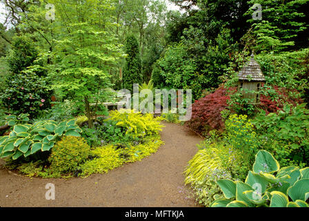 Garten mit einer Anpflanzung von Coglizer Garten, Acer, Euphorbia, Dicksonia antarctica, Berberis thunbergii 'Aurea', Brunnera macrophylla, Hosta fluctuans ' Stockfoto