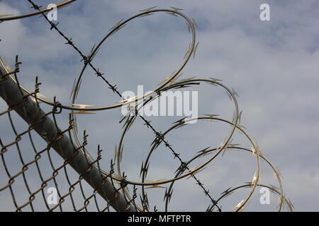 Gestochen scharfe Stacheldraht aufgewickelt auf einem Maschendrahtzaun. Stockfoto