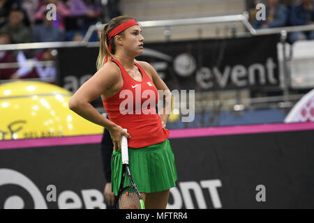 Minsk, Weißrussland. 21. April 2018. Aryna Sabalenka (BLR) während einer FedCup gegen Vikoria Kuzmova an Chizhovka Arena in Minsk, Belarus gespielt Stockfoto