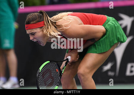 Minsk, Weißrussland. 21. April 2018. Aryna Sabalenka (BLR) in einem Match gegen FedCup Vikoria Kuzmova an Chizhovka Arena in Minsk, Belarus gespielt enttäuscht Stockfoto