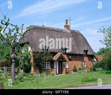 Eine äußere einer Backstein thatched Country Cottage, Garten mit Rasen Stockfoto