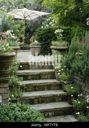 Steinstufen, gesäumt mit Blumen in Töpfe, die gepflasterte Terrasse mit Sonnenschirm Stockfoto