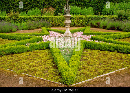 Sternförmige geringe Absicherung von abgeschnitten Buxus und bepflanzt mit Dianthus Stockfoto