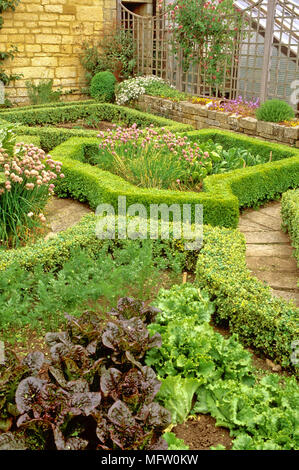 Garten mit niedrigen Absicherung von abgeschnitten Buchsbaum gepflanzt mit Salat und Allium schoenoprasum Stockfoto