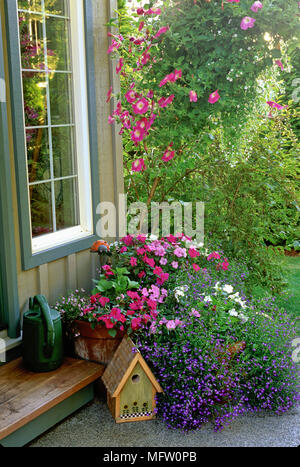 Container Garten und hängenden Korb mit Petunia, Impatiens und Lobelia Stockfoto