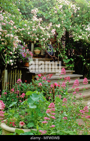 Schritte mit einer Anpflanzung von Rosa ÔCecile BrunnerÕ und Centranthus ruber umgeben Stockfoto