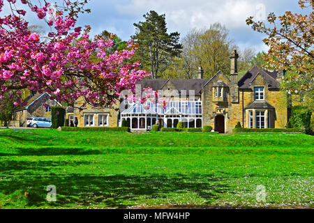 Bryngarw Haus & Country Park, Brynmenyn, Bridgend, Wales. Das denkmalgeschützte Haus stammt aus dem Jahre 1774 und war einst die Heimat des Traherne Familie. Stockfoto