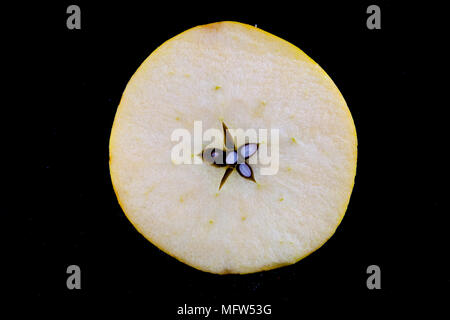 Alte deutsche Apple Cultivar 'egers Renette' Stockfoto