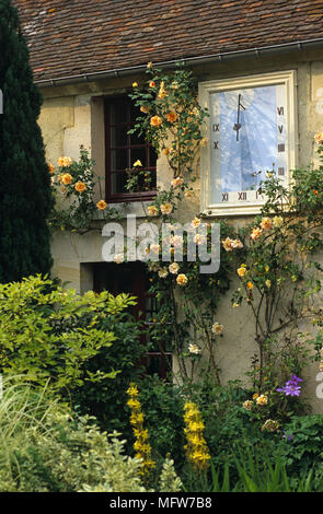 Landhaus aus Stein mit Kletterrosen in cinqueux Frankreich Stockfoto