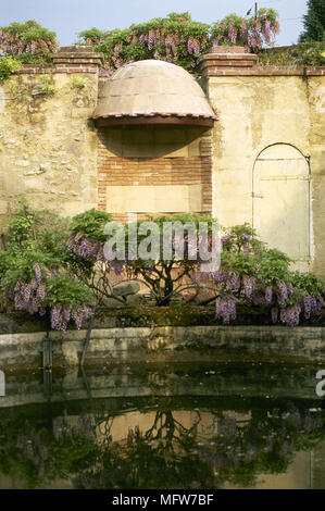 Ummauerten garten Teich Wisteria Gärten Teiche Wasser Stockfoto