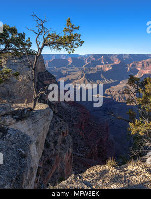 Der Grand Canyon als vom South Rim am Nachmittag gesehen Stockfoto