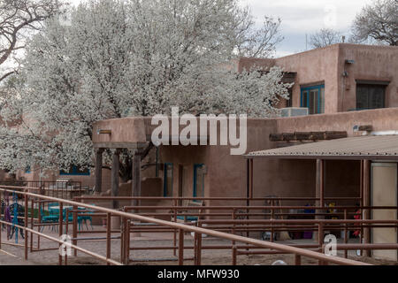 Spanish-Pueblo Haus mit Frühlingsblumen Stockfoto