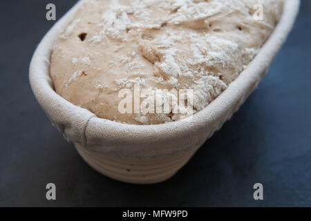 Eine ungekochte Laib Sauerteigbrot in Leinwand gesäumten beweisen Warenkorb (banneton) bereit, in den Ofen zu gehen Stockfoto