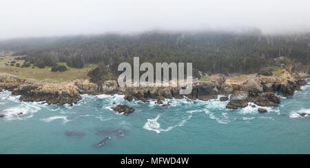 Die kalte, nährstoffreiche Wasser des Pazifischen Ozeans Waschen gegen den felsigen und landschaftlich sehr reizvollen Norden Kaliforniens Küste in Sonoma. Stockfoto