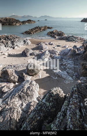 An der felsigen Küste bei Ebbe von Llandwyn Insel im Norden von Wales, UK. Vertikale crop Stockfoto