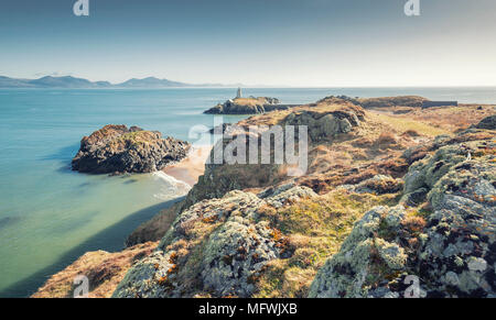 Luftaufnahme über Ynyn Llandwyn an hellen, sonnigen Tag. Anglessey in Nord Wales, Großbritannien Stockfoto