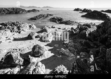 An der felsigen Küste bei Ebbe von Llandwyn Insel in Nord Wales, Großbritannien Stockfoto