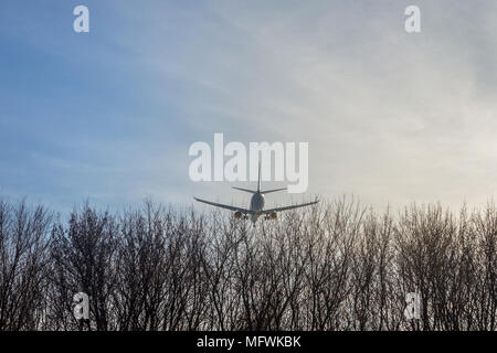 Große Flugzeug fliegen tief über Wald Bäume gegen blauen Himmel bei Sonnenuntergang. Landung oder nehmen Sie sie ab. Unten Schwanz sehen. Copyspace für Text. Sommer reisen Konzept Stockfoto