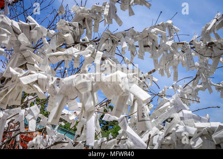 Omikuji baum Heian Jingu Schrein Tempel in Kyoto, Japan Stockfoto