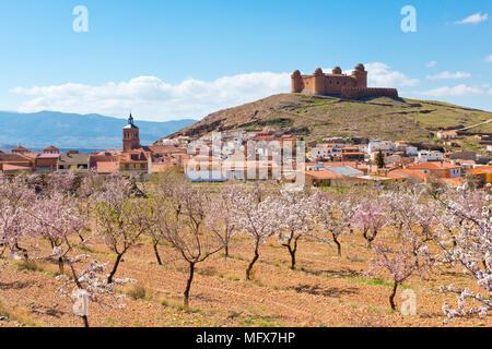 Bäume, blühende Felder und Wahrzeichen von Castillo de La Calahorra. Provinz von Granada, Andalusien, Südspanien Stockfoto