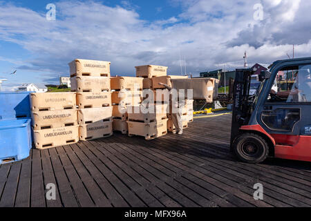 Fisch Storage Container auf Transportpaletten mit zwischengespeicherten Fisch in Stykkishólmur Hafen gestapelt, Halbinsel Snaefellsnes, Island Stockfoto