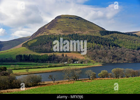 Loweswater, Holme Holz und Burnbank fiel. Nationalpark Lake District, Cumbria, England, Vereinigtes Königreich, Europa. Stockfoto