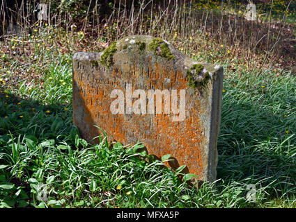 Grabstein mit orangefarbenen Flechten. Kirche der Heiligen Maria. Ennerdale Bridge, Nationalpark Lake District, Cumbria, England, Vereinigtes Königreich, Europa. Stockfoto