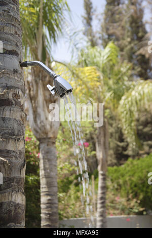 Fließendes Wasser aus der Dusche im Freien Kopf zu Baum angeklebt Stockfoto