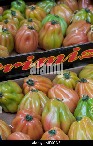 Frische Sorten und Möglichkeiten von frisch gepflückten Tomaten zum Verkauf auf einen Markt am Borough Market in London. Greengroceries frisch gepflückte rot grün. Stockfoto