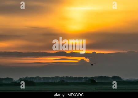 Southport, Merseyside, UK 27/04/2018. UK Wetter. Stumm Sonnenaufgang mit Regen Prognose über die ribble Estuary Marshside Nature Reserve. Credit: MediaWorldImages/AlamyLiveNews Stockfoto