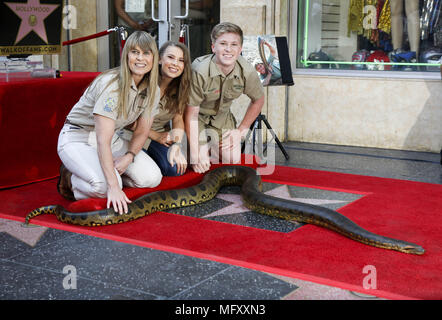 Los Angeles, Kalifornien, USA. 26 Apr, 2018. TERRI IRWIN, BINDI Irwin und Robert Irwin teilnehmen an einer Zeremonie zu Ehren des verstorbenen Steve Irwin mit einem Stern auf dem Hollywood Walk of Fame. Credit: Ringo Chiu/ZUMA Draht/Alamy leben Nachrichten Stockfoto