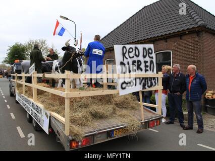 Tienhoven, Niederlande. 27 Apr, 2018. Kingsday Niederlande Tienhoven 27-04-2018 Prozession oostervaarderplassen politische Frage Credit: Catchlight Visual Services/Alamy leben Nachrichten Stockfoto