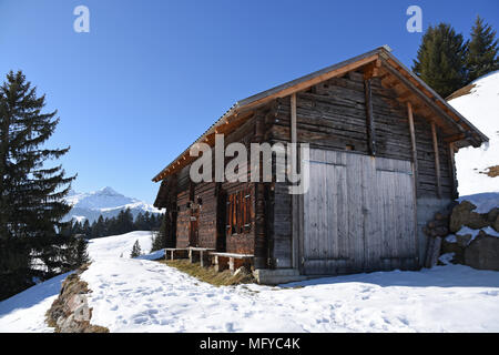 Alte hölzerne Scheune in Grindelwald, Schweiz, an einem sonnigen Tag Stockfoto