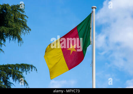 Nationalflagge von Kamerun in den Wind mit blauem Himmel und Baum im Hintergrund Stockfoto