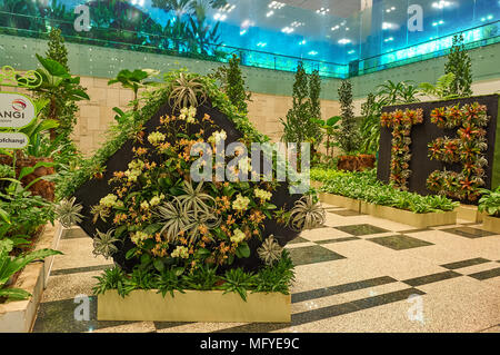 Singapur - ca. November 2015: in Singapur Changi Airport. Stockfoto