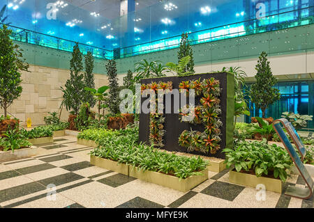 Singapur - ca. November 2015: in Singapur Changi Airport. Stockfoto