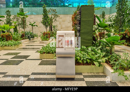 Singapur - ca. November 2015: in Singapur Changi Airport. Stockfoto