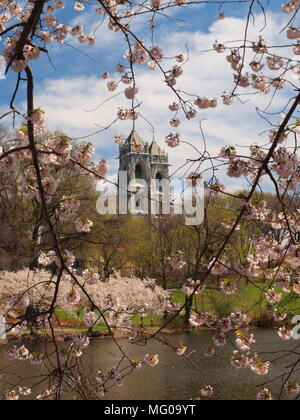 Sacred Heart Cathedral während Cherry Blossom Festival in Newark, New Jersey, die größte Stadt. Stockfoto