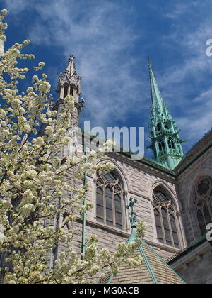 Sacred Heart Cathedral, Newark, New Jersey Stockfoto